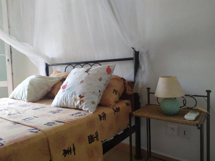 Charmant Appartement En Bord De Mer Avec Piscine Gourbeyre Exteriör bild